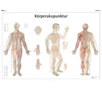 3B Scientific VR0820UU - Pizarra de acupuntura corporal