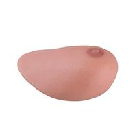 3B Scientific XP125 Sonotrain, Los Tumores de Mama Reemplazo Bloque