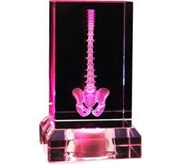 3D Crystal Human Spine Anatomical Model - machine Etched Glass Cube Paperweight for Healthcare applications Students & Science Enthusiasts (6x6x9cm)