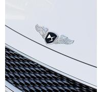 3D Emblemas Maletero Pegatinas y Carrocería Cromo Insignia Adhesivo del Logotipo para DS Coche Logo,B