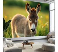 3D Fotomurales Burro Animal 430x300 cm Decorativos Papel Pintado Panorámico Mural África Animal Burro Tejido No Tejido Decoración de Pared Murales Moderna de Diseno w.3764