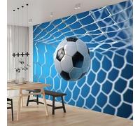 3D Fotomurales Futbol Azul 300x210 cm Decorativos Papel Pintado Panorámico Mural Deportes de Pelota Tejido No Tejido Decoración de Pared Murales Moderna de Diseno w.3193