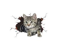 3D Gato Lindo Decorativo Pegatina Tema Animal Coche Personalizado Ventana Parachoques Grieta Estilo 3
