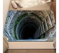 3D Hole Rug - Dog Gets Scared of 3D Hole Carpet, Rugs Optical Illusion, for Door Entrance, Bathroom, Stairs, Playroom, Living Room (1PCS-E,23.62 * 35.43 in)