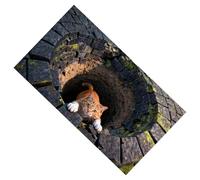 3D Hole Rug - Eye-Catching Optical Illusion Design | Non-Slip Crystal Velvet Entrance Mat | For Home Decor Enthusiasts, Bedroom Study Dorm Apartment, Easy-Clean, Realistic 3D Effect, Family Gathering