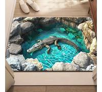 3D Illusion Floor Rug Non Slip Entryway Mat for Indoor & Outdoor Use,Non Slip Rug for Indoor & Outdoor,Playroom,Living Room,Office,Bedroom,Porch (E, 60 * 90cm)