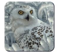 3D LiveLife Cork Coaster - Snowy Owl de Deluxebase. Posavasos lenticular 3D Own. Posavasos Antideslizantes con Ilustraciones Originales de Collin Bogle.