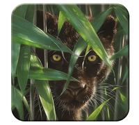 3D LiveLife Cork Coaster - Wild Eyes de Deluxebase. Posavasos lenticular 3D Tigre. Posavasos Antideslizantes con Ilustraciones Originales de Collin Bogle.