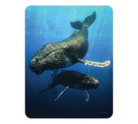 3D LiveLife Imán - Ballena Azul de Deluxebase. Imán de Nevera lenticular 3D con diseño de océano. Adorno magnético para niños y Adultos Estampado con ilustración del reconocido Artista David Penfound