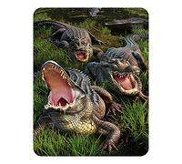 3D LiveLife Imán - Caimán de pantano de Deluxebase. Imán de Nevera lenticular 3D con diseño de caimán. Adorno magnético para niños y Adultos con ilustración del reconocido Artista Jerry LoFaro