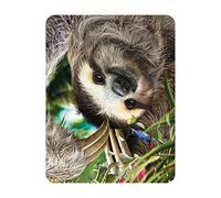 3D LiveLife Imán - Dando Vueltas de Deluxebase. Imán de Nevera lenticular 3D con diseño de Oso Perezoso. Adorno magnético para niños y Adultos con ilustración del reconocido Artista David Penfound