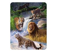 3D LiveLife Imán - Expedición Felina de Deluxebase. Imán de Nevera lenticular 3D con diseño de Selva. Adorno magnético para niños y Adultos con ilustración del reconocido Artista Jerry LoFaro