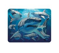3D LiveLife Imán - Grandes Tiburones Blancos de Deluxebase. Imán de Nevera lenticular 3D diseño de océano. Adorno magnético para niños y Adultos con ilustración del reconocido Artista David Penfound