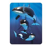3D LiveLife Imán - Orcas de Deluxebase. Imán de Nevera lenticular 3D con diseño de Ballenas. Adorno magnético para niños y Adultos Estampado con ilustración del reconocido Artista David Penfound