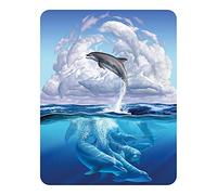 3D LiveLife Imán - Sinfonía de Delfines de Deluxebase. Imán de Nevera lenticular 3D con diseño de océano. Adorno magnético para niños y Adultos con ilustración del reconocido Artista Jerry LoFaro