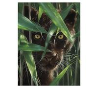 3D LiveLife Impresiones artísticas lenticulares para pared, diseño de ojos salvajes de Deluxebase. Póster 3D de la pantera sin marco. Un relleno de pared perfecto. Obra original con licencia del