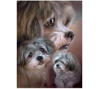 3D LiveLife Impresiones artísticas lenticulares para pared, Lhasa Apso de Deluxebase. Póster de perro 3D sin marco. Un relleno de pared perfecto.