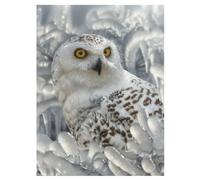 3D LiveLife Impresiones artísticas lenticulares para pared, santuario de búhos nevados de Deluxebase. Póster de búho 3D sin marco. Un relleno de pared perfecto. Obra de arte original con licencia del