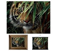 3D LiveLife Lenticular Cuadros Decoración - Bosque esmeralda de Deluxebase. Poster 3D sin marco de tigres. Obra de arte original con licencia del reconocido artista, Collin Bogle