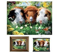 3D LiveLife Lenticular Cuadros Decoración - Cobaya de Deluxebase. Poster 3D sin marco de mascotas. Obra de arte original con licencia del reconocido artista, David Penfound