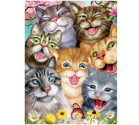 3D LiveLife Lenticular Pictures - Gatos locos de Deluxebase. Arte de pared A3 sin marco con efecto 3D profundo para sala de estar, dormitorio o cocina. Póster único de impresión de gato para