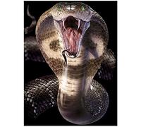 3D LiveLife Libreta - Cobra de Deluxebase. Libreta pequeña A6 con espiral, lenticular 3D de serpiente y hojas lisas recicladas. Ilustraciones con licencia del reconocido artista David Penfound