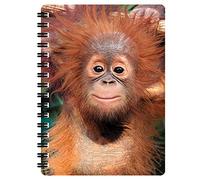 3D LiveLife Libreta - Orangután de Deluxebase. Libreta pequeña A6 con espiral, lenticular 3D de monos y hojas lisas recicladas. Ilustraciones con licencia del reconocido artista David Penfound