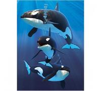 3D LiveLife Libreta - Orcas de Deluxebase. Libreta pequeña A6 con espiral, lenticular 3D del océano y hojas lisas recicladas. Ilustraciones con licencia del reconocido artista David Penfound