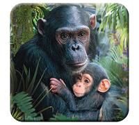 3D LiveLife Posavasos de Corcho - Abrazotes de Deluxebase. Posavasos de Corcho de chimpances Lenticular 3D, con Ilustraciones Originales con Licencia del reconocido Artista David Penfound