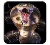 3D LiveLife Posavasos de Corcho - Cobra de Deluxebase. Posavasos de Corcho de Serpientes Lenticular 3D, con Ilustraciones Originales con Licencia del reconocido Artista David Penfound