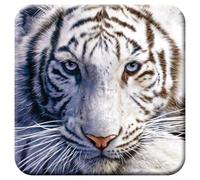 3D LiveLife Posavasos de Corcho - Reposo del Tigre Blanco de Deluxebase. Posavasos de Corcho de felinos Lenticular 3D, con Ilustraciones Originales con Licencia del reconocido Artista David Penfound