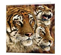 3D LiveLife Tarjeta felicitacion - Tigretón de Deluxebase. Tarjeta Lenticular 3D con tigre para toda ocasión. Ilustraciones originales con licencia del reconocido artista, Steven Michael Gardner