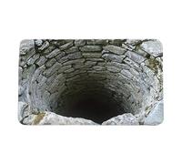 3D Optical Illusion Rug - Stone Well Illusion Non-Slip Doormat | 20x32 Inch Entryway Rug | 50x80cm Crystal Velvet, For Indoor Bathroom Entrance Front Door Bedroom Kitchen Balcony Outdoor, Absorbent Tr