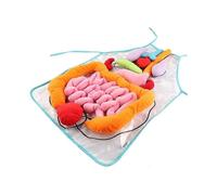 3D Organ Apron, Plush DIY Organs Apron for Students Human Body Organs Awareness Viscera for Teachers Teaching Utensil for Home Preschool Teaching Aid