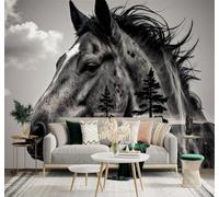 3D Papel Pintado Minimalista Tridimensional Caballo En Blanco Negro Paisaje | Cuadros Decorativos de Seda Gama Ideales Para el Estudio la Oficina Comedor Salón Dormitorio Pared Trasera del TV-350cm×256cm