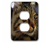 3D Rose Aslan The Long Haired Tabby Cat 2 Tapas de Enchufe, Multicolor