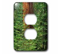 3D Rose California, Yosemite National Park. Giant Sequoia in Tuolumne Grove 2 Tapas de Enchufe, Multicolor