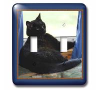 3D Rose LSP_223530_2 Beautiful Black Kitty in a Window with an Attitude Double Toggle Switch