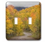 3D Rose LSP_230395_2 USA, Colorado, San Juan National Forest. Árboles y carretera de Aspen de otoño. Interruptor de doble pulsador, multicolor