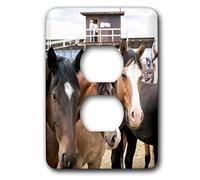 3D Rose Taos, New Mexico, USA. Horses at a Small Town Western Rodeo. 2 Tapas de Enchufe, Multicolor