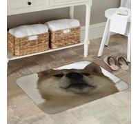 3D Shiba Inu Dog Non-Slip Floor Mat Water Oil Proof Carpet Rug for Kitchen Entrance Home Bedroom Footpad Mats-50x80cm