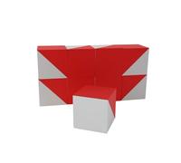 3D3 & CO - Cubos de Kohs Rojo y Blanco de 2,5 cm, 9 Cubos para Test y Pruebas como WISC V y WAIS IV