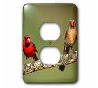 3dRose (6) 2 tapas de enchufe (lsp_250953_6) 2 cardenales del norte masculino y femenino, condado de Marion, Illinois