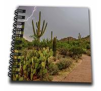 3dRose Arizona, Tucson, Saguaro National Park West, Lightning Mini bloc de notas, multicolor, 10 x 10 cm