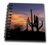 3dRose Arizona, Tucson, Saguaro National Park West, Silhouette of Cactimini - Bloc de notas, multicolor, 10,16 x 10,16 cm