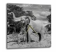 3dRose Botswana-Chobe NP-Elephant Raises Trunk in The mopane Forest Reloj de Pared, 15" x 15"