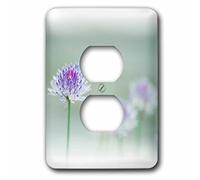 3dRose Chives Blowing in The Wind Tapón de Enchufe, Multicolor