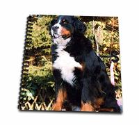 3dRose db_883_2 Bernese Mountain Dog-Memory Book, 30,5 cm, multicolor