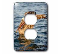 3dRose Ecuador, Galapagos Islands, Isabela Island. Brown Pelican. 2 Tapas de Enchufe, Multicolor