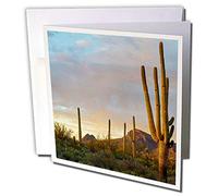 3dRose gc_258774_2 Saguaro Cactus, Tucson Mountains, Saguaro National Park, Arizona, tarjeta de felicitación (juego de 12)